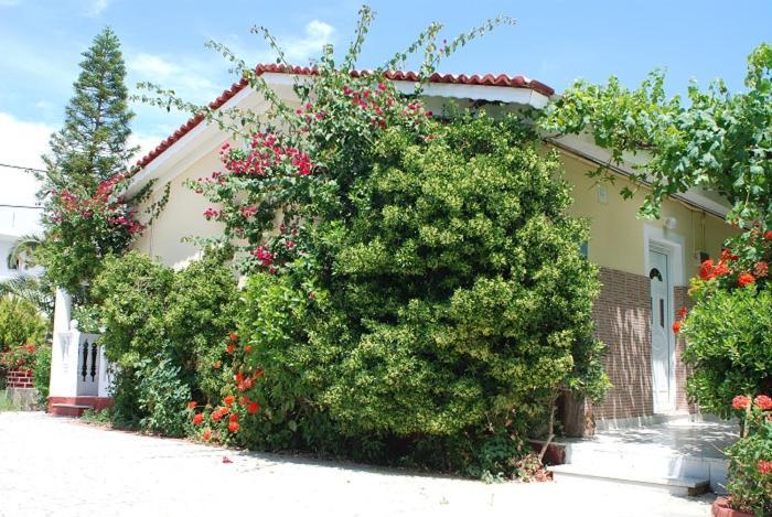 Manao Summer House Tsilivi  Exterior photo